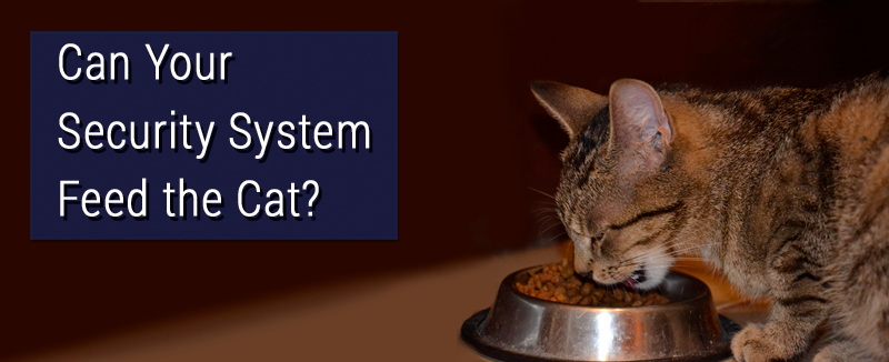 Can Your Security System Feed the Cat? Yes, it’s true! Of course your Alarm Engineering system protects your home and family with proven security and life safety features.