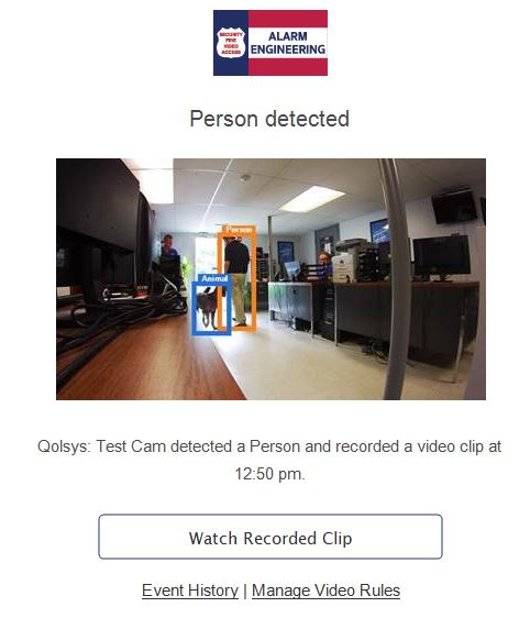 Video Analytics: Detect a Person, Animal, Vehicle or Package -